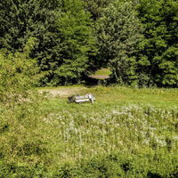 Rast inmitten des UNESCO Biosphärenparks Unteres Murtal