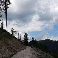 14.2 km Blick zum Schwazkogel