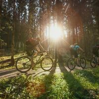 Mountainbiken in Neufelden