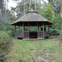 bei den Mammutbäumen