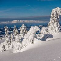 Winterstimmung auf der Niedere
