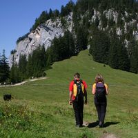 Wanderung zur Hütteneckalm
