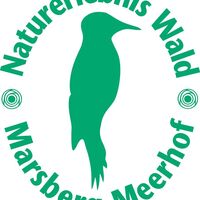 Naturerlebnis Wald - Wegezeichen