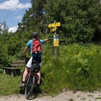 Reith-Wiesenwegrunde (c) Anna Rieder