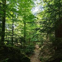 Steig im Felswandergebiet