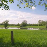 Rheinaue Walsum, Blick auf Feuchtwiesen
