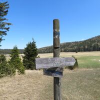 Rohrbachgraben -- Bodenwiese auf der Gahns