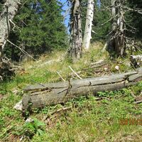 Aufstieg zum Perschkogel