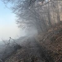 Diese Route geht indes hier am Waldrand entlang weiter, nun mehr oder weniger eben