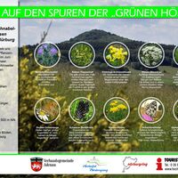 Infotafel Wildblumen 