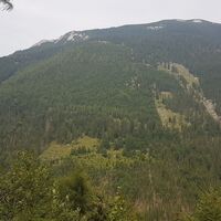 Gamsstein