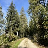 Nun sehr sanft, fast eben, Richtung Gehöft Bettlbauer
