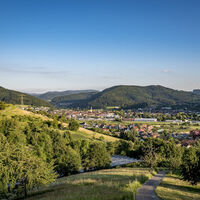 Ausblick vom Scheibenbühl