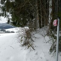 Winterwanderung Guggisberg