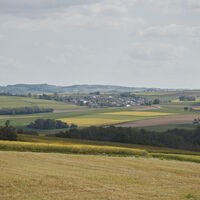 Blick ins Maifeld in der Rapsblüte
