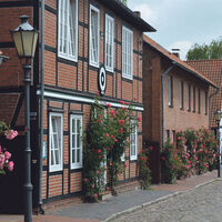 Rosenblüte in der Pastorenstraße