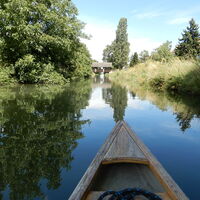 Wiener Neustädter Kanal