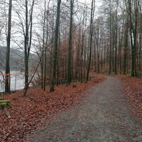 Wegbeschaffenheit Wogenweg am Hennesee