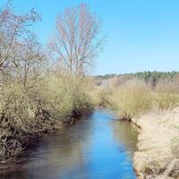 Ilmenau bei Bruchtorf – idyllische Landschaft am Ilmenauradweg