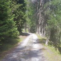 8.8 km Schotterstraße Richtung Grünsee