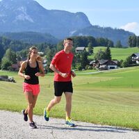 Graumoosweg mit Sandling