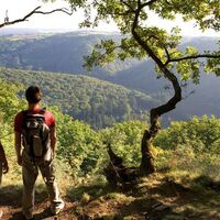 Blick auf die Saar