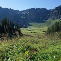 Alpe Kanis Mellau