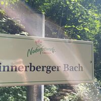 L3 Rinnerberger Trail