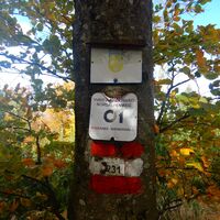 Pernitz/Ortmann - Hohe Mandling - Waxeneckhaus - Auf dem Hals - Kreuth - Muggendorf