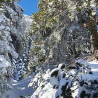 Hinweistafel beim Einstieg in den Wald