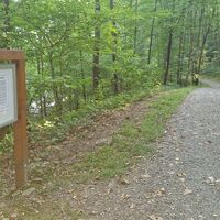 Wogenweg Steele mit Weg Sommer