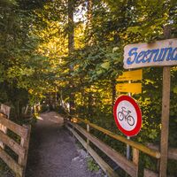 Scheffau_Hintersteiner See_Sommer_Seerundweg_Eingang
