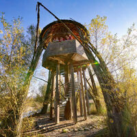 aue-chly-rhy-beobachtungsturm-im-herbst