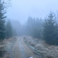 JOSEFOVA CESTA_25. 11. 2020