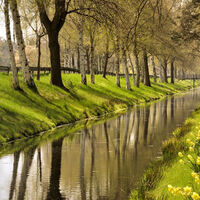 Von Birken und gelben Blumen umrahmter Oste-Hamme-Kanal
