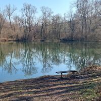 Lauffener Seen/Seelochsee