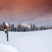 Abenddämmerung Winter Reith i.A. Wanderung