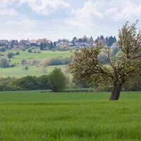 Blick auf Biesingen im Frühjahr