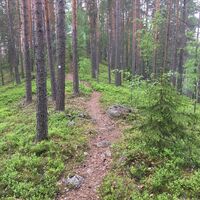 Lammassaaren Naturpfad