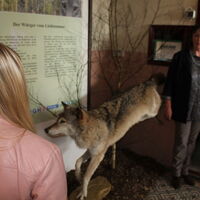 Heimatmuseum Rodewald