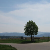 Laufenburg 1