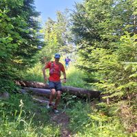Allmendwald - Riffenmatt-Pfyffe Trailrun