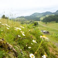 Auf dem Weg zum Kojenstein