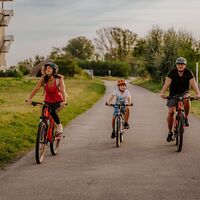 Radtouren am Neusiedler See