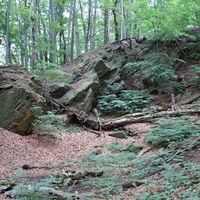 Felsformation nahe Hohenauvorgipfel