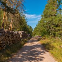 Oranienbaumer Heide