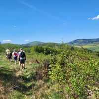 Unterwegs auf dem Medebacher Bergweg