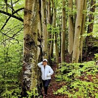 Abstieg zur Haussteinwiese