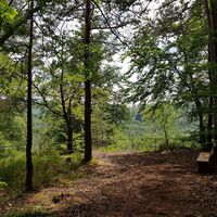 Aussichtspunkt Schwabfelsen an der Clausensee-Tour
