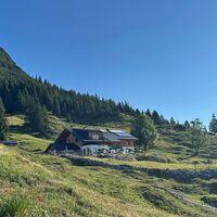 Die Astenau Alpe liegt auf 1.483 m Seehöhe hoch über Eben am Achensee.